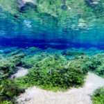 Bonito - Flutuação no Rio da Prata