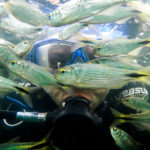 Bonito – Mergulho com Cilindro