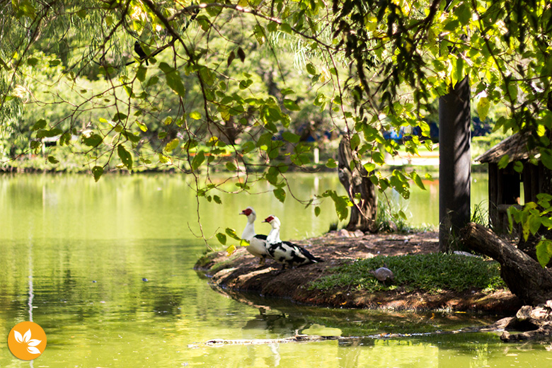 Parques em Porto Alegre - Parque Moinho Parques em Porto Alegre - Parque Moinho