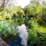Bonito - Flutuação na Nascente Azul