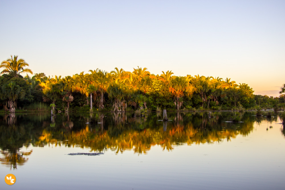 Bom Jardim – Nobres: Lagoa das Araras Bom Jardim – Nobres: Lagoa das Araras
