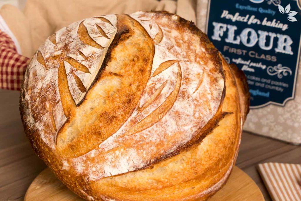 Dicas para congelar alimentos e evitar o desperdício